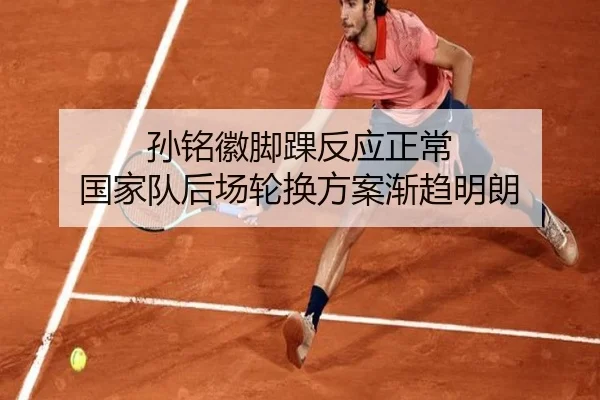 孙铭徽脚踝反应正常 国家队后场轮换方案渐趋明朗